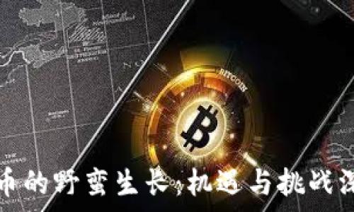   
数字货币的野蛮生长：机遇与挑战深度解析