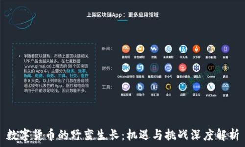   
数字货币的野蛮生长：机遇与挑战深度解析