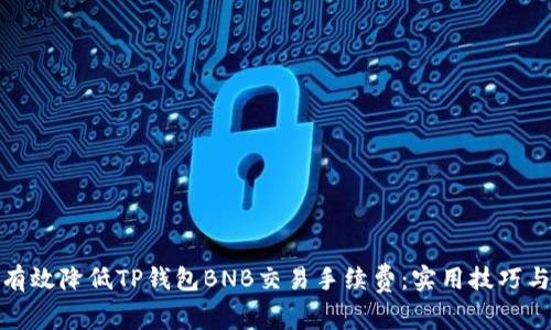 如何有效降低TP钱包BNB交易手续费：实用技巧与策略