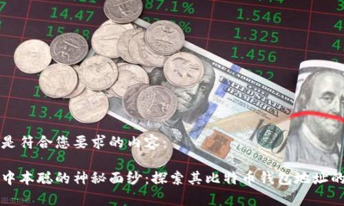 以下是符合您要求的内容：

揭开中本聪的神秘面纱：探索其比特币钱包地址的真相