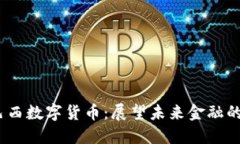 2019年巴西数字货币：展望